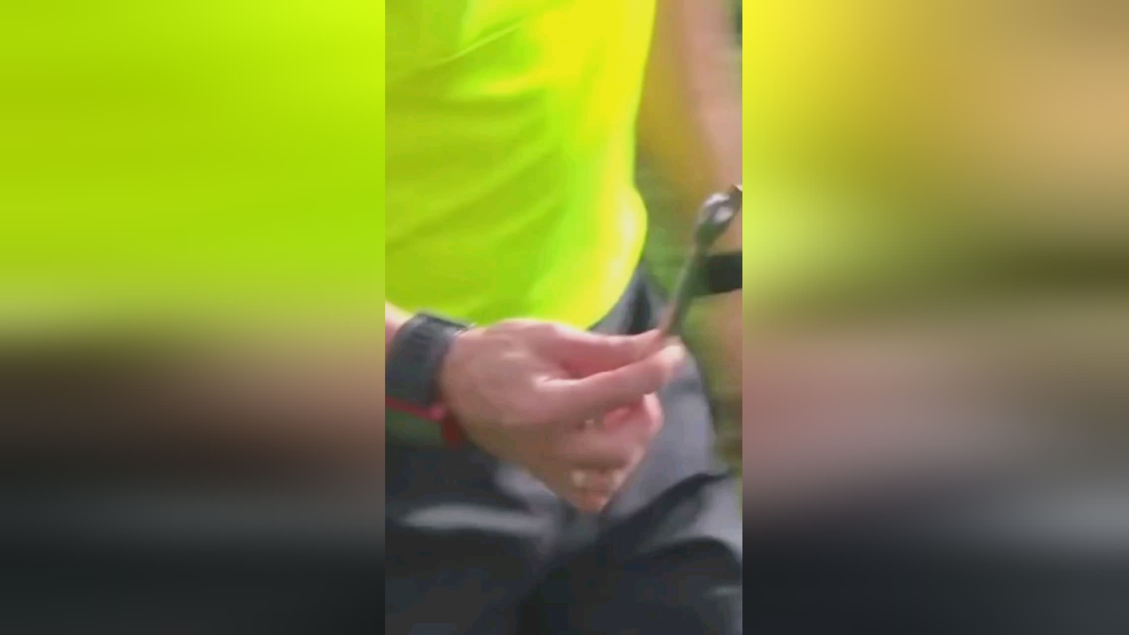 裁判出炉都